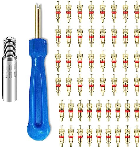 53 Pcs Herramientas de Las Válvulas de Los Neumático 50 Valvulas para Neumaticos 1 Removedor para Nucleo de Valvula 1 Extensión Válvula Neumático Valvulas para Neumaticos