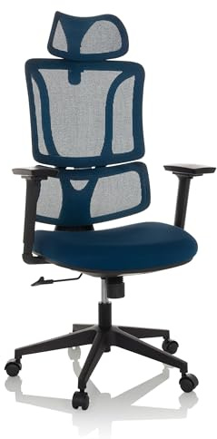 MyBuero Chaise de Bureau Ergonomique ERGOMY Chaise de Bureau avec Appui-lordose réglable, Appui-tête, accoudoirs, Dossier résille, Tissu Bleu