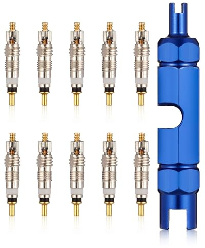MenYiYDS Kit di Sostituzione Nucleo Valvola, 10 Nuclei Valvola e 1 Strumenti di Rimozione, Valvola Mtb Valvole Tubeless, Nucleo Valvola Tubeless Mtb per Biciclette Tubeless, Strada e MTB