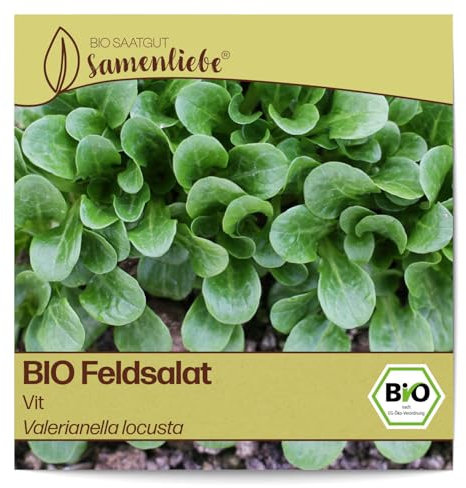 Samenliebe BIO Feldsalat Samen Gemüsesamen alte Sorte Vit 900 Samen Gemüse Samen Garten Feldsalat Saatgut samenfeste einjährig Pflanzen für Gewächshaus, Garten und Balkon