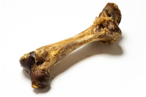 Natural Treats Ostrich Dino Bone for Dogs (1pc) -Dog Bone Pack Chew Range