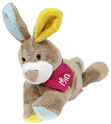 Wärmekissen Wärmetier Hase Vers. 1 mit Halstuch und Namen oder Spruch - Personalisiertes Baby Körnerkissen Rapskissen - Körnerkissen Rapskissen