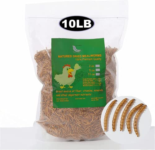 Euchirus 10LBs Non-GMO Dried Mealworms,High-Protein Larvae Treats Feed Molting Supplement for Birds Hens Ducks etc,Large Bulk Meal Worms Birds Chicken Food