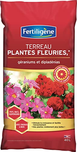 FERTILIGENE FG40M - Terreau Plantes Fleuries et Géraniums 40 L - Stimule la Croissance et facilite l'enracinement - Plantes visiblement Plus Belles et Floraison Plus abondante - Fabriqué en France