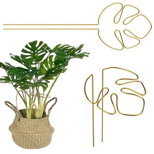 Lot de 2 tuteurs pour plantes grimpantes Monstera - Avec design unique de feuille - Pour plantes d'intérieur - Support décoratif