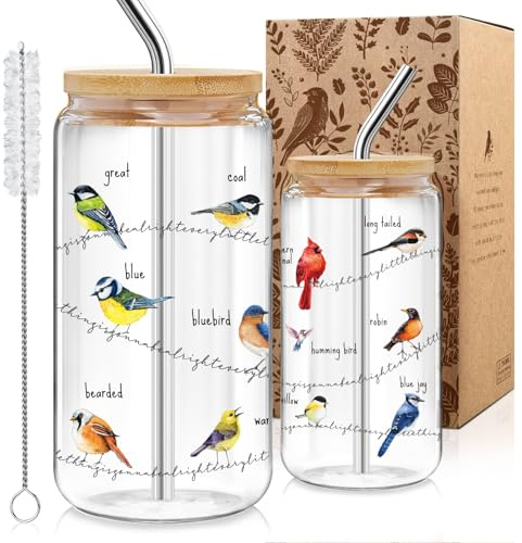 Bird Glass Cup Gift for Women Men with Lid and Straw, 16oz Coffee Cups for Nature Lovers, Funny Gift for Birds Watchers, Unique Christmas Birthday Gifts for Graduation , Bestie Friend, Bird Lover -m21