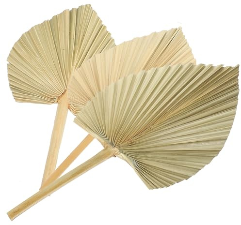 HOODANCOS 3 Hojas Secas de Palma Abanico Natural para Decoración de Pared, Adornos de Hojas Secas para Bodas, Fiestas y Decoración del Hogar, Estilo Tropical y Rústico