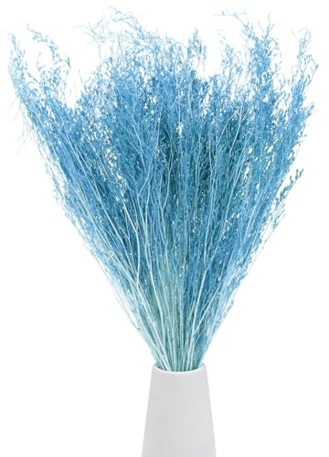 M METERXITY Mazzo Fiori Secchi 17 Mazzo Fiori Limonium per Decorazione Casa/Composizione Floreale Caspia Fiori Gisofila Fiori Secchi Decorazione Vaso Naturale [Azzurro Cielo, 120g]