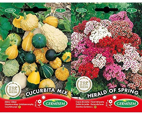 Germisem Graines Coloquintes en mélange CUCURBITA MIX+Herald of Spring Graines de Clous de Girofle