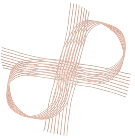 BESPORTBLE 2 Pièces Rouleau Chaussure De Danse Bande Élastique Chaussures De Ballet Chaussures Danse Ballet pour Femmes Lacets Pointes Pointes Bande Élastique Orteils