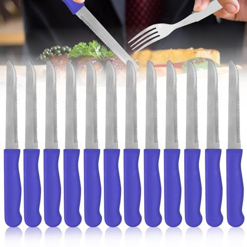 WANDGU Profi Tomaten- und Tafelmesser: 12 Stück Steakmesser, Edelstahl Tischmesser mit Gezahnt, Extra Scharfe Klinge Brötchenmesser, Besteck Messer Set für Haus, Spülmaschinenfest, 22.9CM