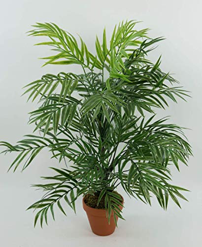 Seidenblumen Roß Palmenbusch/Zimmerpalme 60cm im Topf GA Kunstpflanzen Kunstpalmen künstliche Blumen Pflanzen Palme Dekopalme im Topf