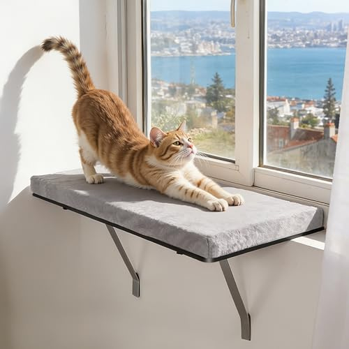 Zvonema kattfönsterstol, 61 × 30 cm, upp till 15 kg, ljusgrå | Stor kattsäng med mjuk grå plysch, hängmatta katt med avtagbara och tvättbara överdrag, vibrationsdämpad