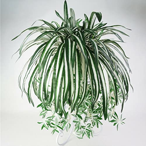 Orchidée artificielle en soie Chlorophytum - Décoration d'intérieur ou de jardin