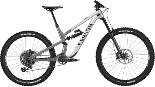 Canyon Spectral CF 8, Reflecting Grey, Medium