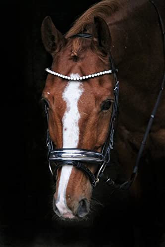 Trense Silver metallischer Nasenriemen Silber Farben Perlmutt geschwungener Stirnriemen ergonomischer Genickriemen VB WB X Full Noriker Tysons Leder Schwarz (Warmblut)