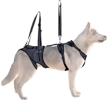 Yiohejy Harnais de soutien pour chien avec poignées, gilet d'aide au transport pour personnes blessées, handicapées, rééducation, rééducation, races âgées
