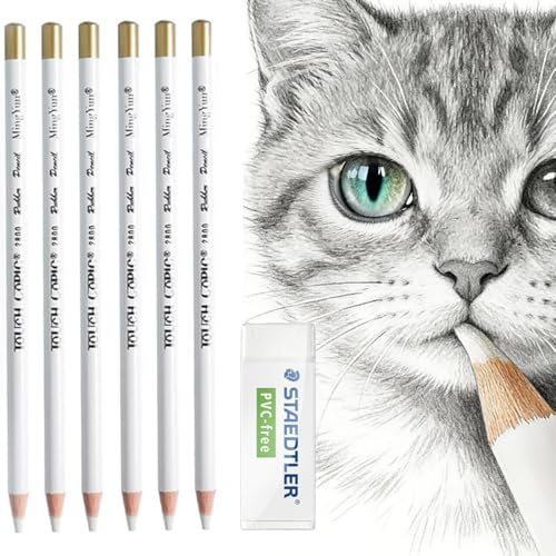 PEVRUAY Lot de 6 Crayon Gomme pour Artistes - Stylo Bois pour Dessin Charbon, Gomme Blanche pour Croquis et Révision - Étudiants et Professionnels Art Peinture Projets Artistiques