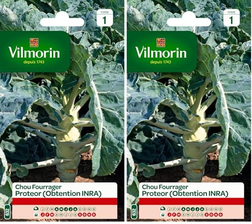 Vilmorin 3378541 Chou fourrager, Vert, 90 x 2 x 140 cm (Lot de 2)