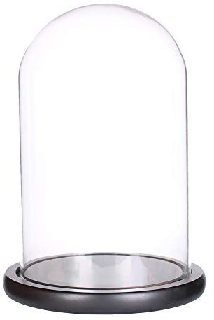 LegendTech Cloche dôme en verre avec base en bois noir (15 x 30 cm)