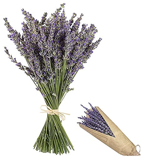 CHENKEE - Fiori secchi, 120 g, fiori secchi, lavanda secchi, fiori decorativi, lavanda secchi, decorazione fai da te, per balcone, giardino, matrimoni