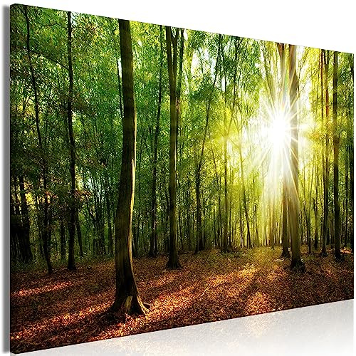 murando Cuadro Acústico Bosque 120x80 cm espuma acústica absorbe el sonido aislamiento lienzo de 1 pieza Impresión Artística Decoración de Pared Paisaje Naturaleza Panorama Albero c-B-0663-b-a