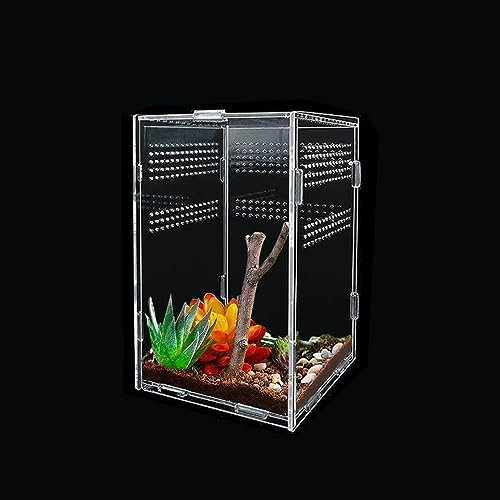 Transparent Acrylic Reptile Feeding Box 25x15x15cm - Terrarium Habitat Breeding Box With Vents Anti-Escape Design for Spiderlings, Horned Frog, Beetles, Pet Snakes