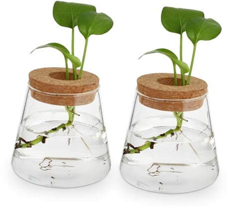 PartyKindom 2stücke Glasvase Für Hydrokultur Stilvolle Desktop Pflanzen Terrarium Eco-Glas Behälter Für Heimdekoration Für Blumenarrangements Und Pflanzenliebhaber