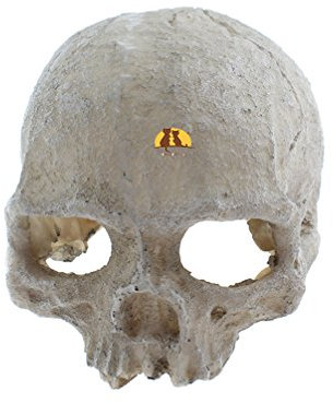 emours Reptilien-Versteck für Aquarium, Totenkopf, Vivarium, Kunstharz, Ornament, Höhlendekoration