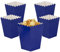 CC wonderland zone 24pcs Navy Blue Mini Popcorn Boxes Paper Popcorn Containers-Party Popcorn Cardboard