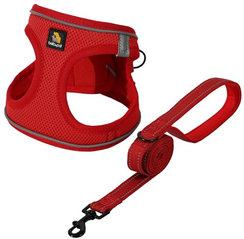 BELLA & PAL Ensemble harnais et laisse pour chien, harnais Step-in pour chiot, maille respirante avec bandes réfléchissantes, gilet anti-traction, pour chiots, très petits, chiens, rouge, XXS