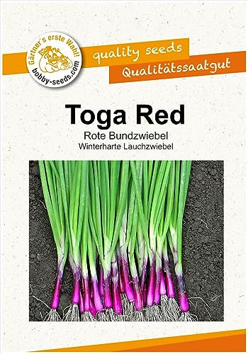 Toga Red Winterheckenzwiebel Samen von Bobby-Seeds Portion