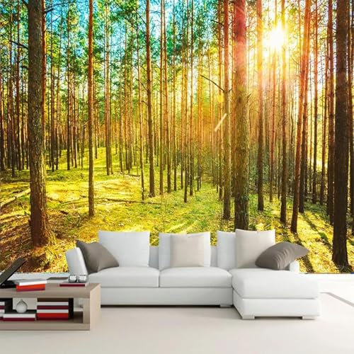 WEITAOSM Papel tapiz fotográfico con paisaje natural, plantas verdes y selva en 3D, sol, sala de estar, dormitorio, TV, sofá, arte de pared