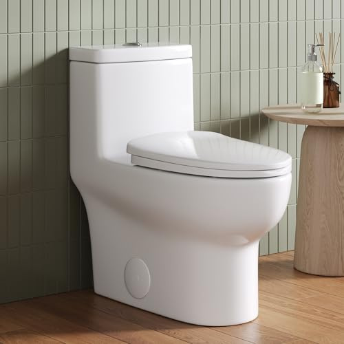 DeerValley Elongated One Piece Toilet 1.1/1.6 GPF Dual Flush Powerful & Quiet 10 Rough-In Modern Toilet for Bathroom