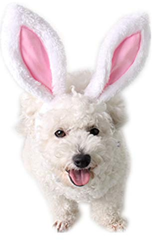 IXIAOPET Dog Cute Costume Bunny Rabbit Hat Headband with Ears for Cats & Dogs Party Costume Easter Halloween Novelty Accessory Headwear (Small)