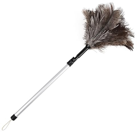 Extendable Ostrich Feather Duster 26-49 Inch, Natural Cleaning Duster with Aluminum Extension Pole Reusable for High Ceilings, Fans, Blinds, Furniture, Interior & Roof Dusting