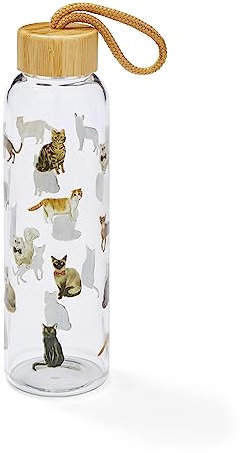 Cooksmart Bouteille d'eau en verre de 500 ml | Bouteille en verre écologique avec couvercle et poignée de transport | Bouteilles en verre pour le bureau, le sport ou les déplacements – Chats curieux