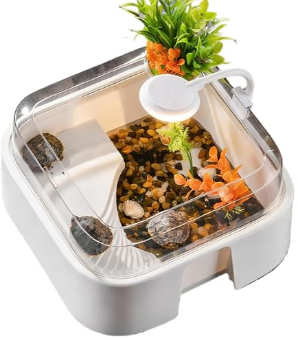 Akvarium För Sköldpaddor - Reptil Terrarium Med Tillbehör - Terrarium För Skäggagamer Med Belysning | Inomhus Kontor Akvarium Sköldpadda Ödla Räka Gecko