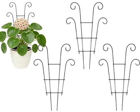Växtväxtväxtstöd för krukväxter, 4 stycken små vertikala tillväxtpelare – 36 cm rankstavar för klätterväxter, för monstera, murgröna, clematis för inomhus- och utomhusbruk, hus, kontor, terrass i