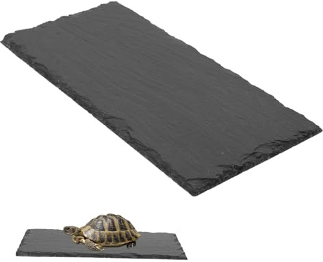Kisangel Assiette Alimentaire Pierre pour Tortues et Reptiles Plat de Nourriture Naturel pour Terrarium et Durable pour Lézards et Autres Animaux Exotiques