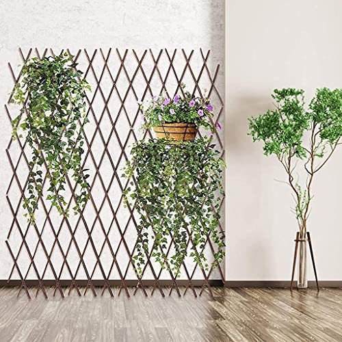 Bordure Jardin Clôture Jardin Palissade Jardin Barrière Clôture décorative de jardin, treillis en bois extensible, treillis en bois autoportant réglable, jusqu'à 200 cm pour terrasse de balcon d