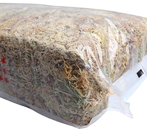Muschio Secco Naturale sfagno | Torba idratante Muschio Secco - substrato per Colture Senza Suolo, per Orchidee Phalaenopsis Musgo Sphagum (1 Confezione da 12 l/6 l)