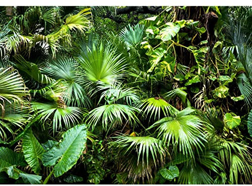 Runa Art Fototapete 3D tropische Pflanze 352 x 250 cm Vlies Tapeten XXL Moderne Wandtapete Wohnzimmer Schlafzimmer Grün 9465011a