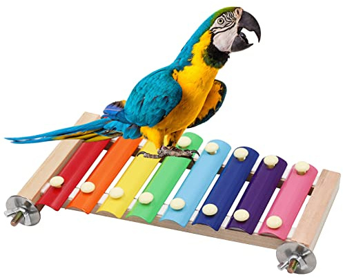 Dnoifne Xylophone coloré pour oiseaux, jouet xylophone amusant à suspendre avec 8 clés en métal, accessoires pour cage à oiseaux, poulet, perroquet, perruche, perruches, oiseaux amoureux