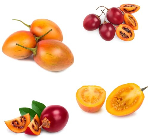 semi di tamarillo, da frutto colonnari semi rari comprare da frutto colonnare esotiche di balcone vecchie varietà nani, resistenti 85pcs
