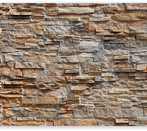 murando - Vlies Fototapete Steinwand 400x280cm Foto Tapete Schlafzimmer Wohnzimmer Vliestapete XXL Motivtapeten Bildtapete 3d Effekt Wand Dekoration - Steinoptik Stein 3d Effekt f-B-0018-a-d