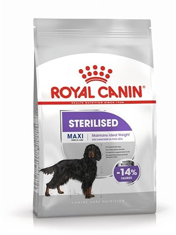 Adulte royal Adulte Maxi 12kg