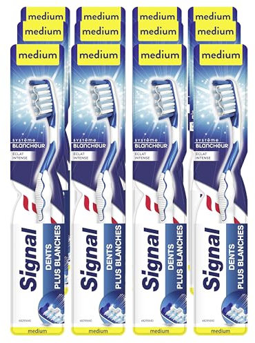 SIGNAL - Brosse à Dents Système Blancheur - Eclat intense - Dents plus blanches - Emballage avec 87% de plastique recyclé - Medium (lot de 12 brosses à dents)