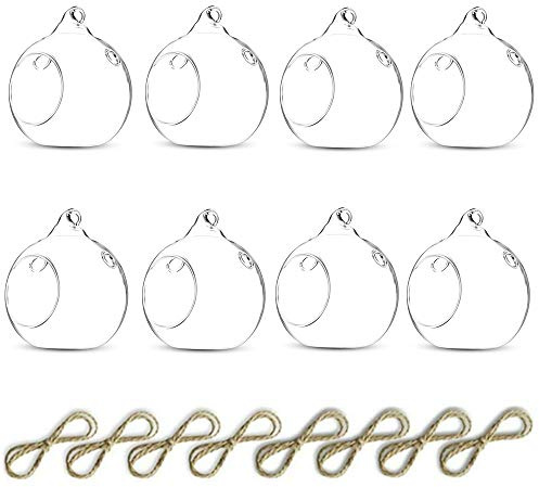 Nuptio 8 Pcs 3.15/ 8cm Hanging Glass Tealight Holder Globe Plant Terrariums Glass Orbs Air Plants Tea Light Candle Holders Home Decor Indoor Outdoor Garden (with 2 Holes, 6 Pcs + 2 Pcs)