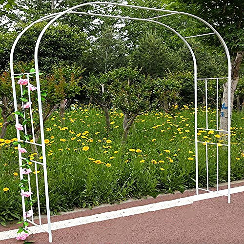 Pabellón de hierro de metal de 260 x 240 cm para plantas trepadoras, decoración de boda, enrejado al aire libre, elegante y redondo para s